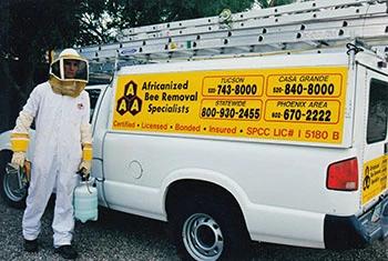 Glendale bee removal service truck and employee